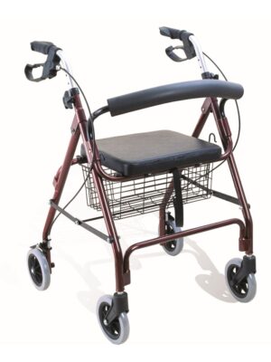 ROL-1_Rollator-standard-pour-adulte-1.jpg